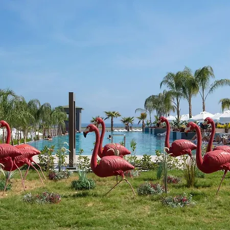 Mylome Luxury & Hotel
